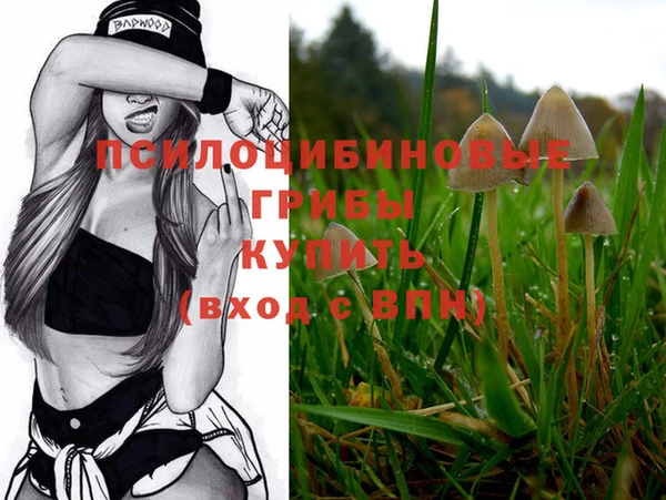 меф Богданович