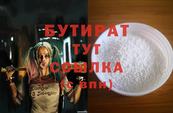 дмт Бородино
