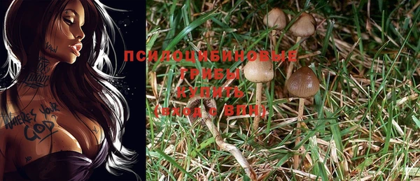 меф Богданович