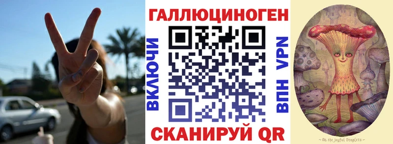 Псилоцибиновые грибы Cubensis  Городец 