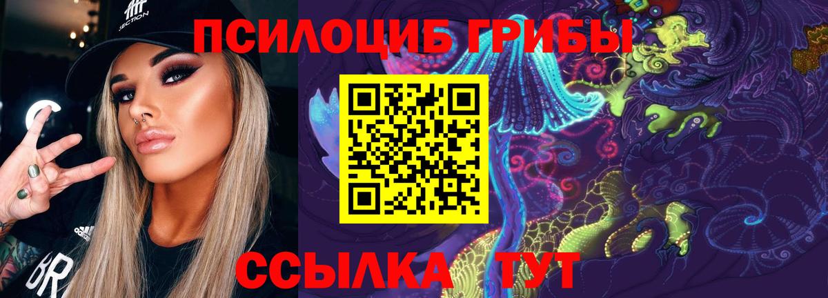 Галлюциногенные грибы Psilocybe Городец